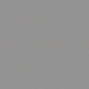 Closeup of a wallpaper showing its Contemporary, Geometric, Grey, Monochrome pattern, color, and subtle texture.