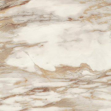 Roberto Cavalli Home No 9 - RC21021