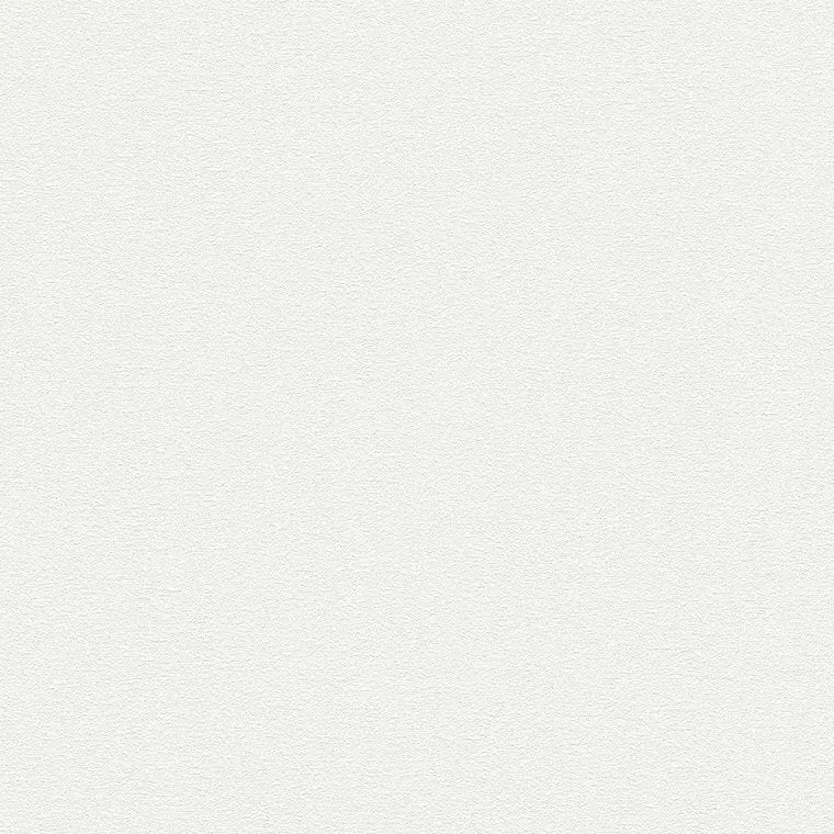 Closeup of a wallpaper showing its Contemporary, Monochrome, Plain, White pattern, color, and subtle texture.