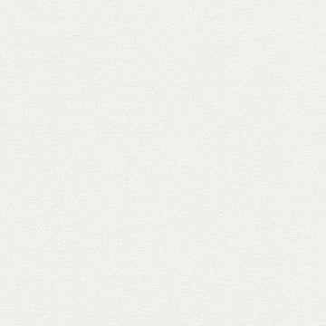 Closeup of a wallpaper showing its Contemporary, Monochrome, Plain, White pattern, color, and subtle texture.