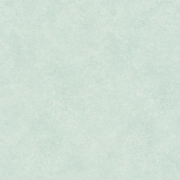 Closeup of a wallpaper showing its Contemporary, Green, Pastels, Plain pattern, color, and texture.