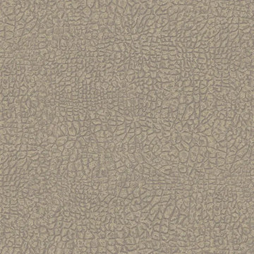 Wallpaper installed in a room showing its full pattern, color