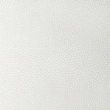 Closeup of a wallpaper showing its Contemporary, Dots, Kids, Monochrome, Two-tone pattern, color, and subtle texture.