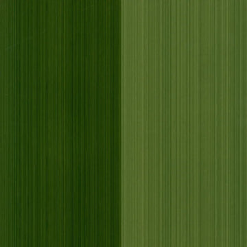 Closeup of a wallpaper showing its Contemporary, Green, Stripes, Two-tone pattern, color, and subtle texture.