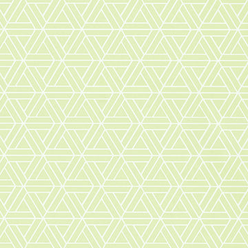 Thibaut Medina-T1881