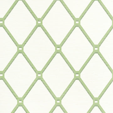 Thibaut Easom Trellis T4051