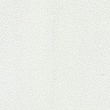 Closeup of a wallpaper showing its Luxury, Monochrome, Textures, Vinyl, White pattern, color, and subtle texture.